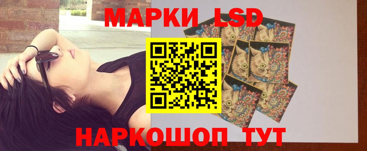 Лсд 25 экстази ecstasy  Вход с VPN  Карачаевск 