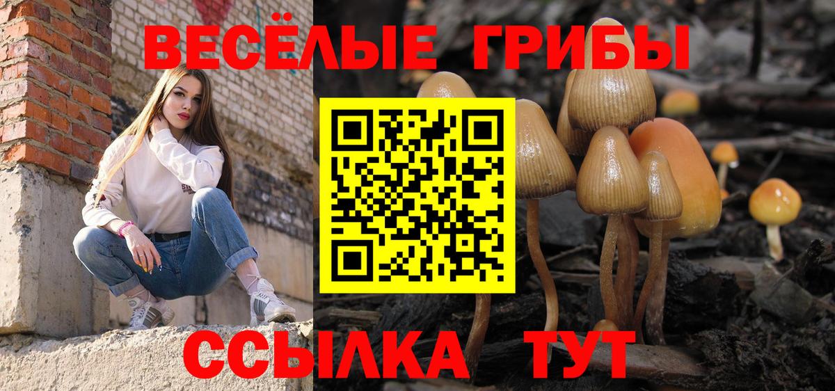 Псилоцибиновые грибы ЛСД Карачаевск