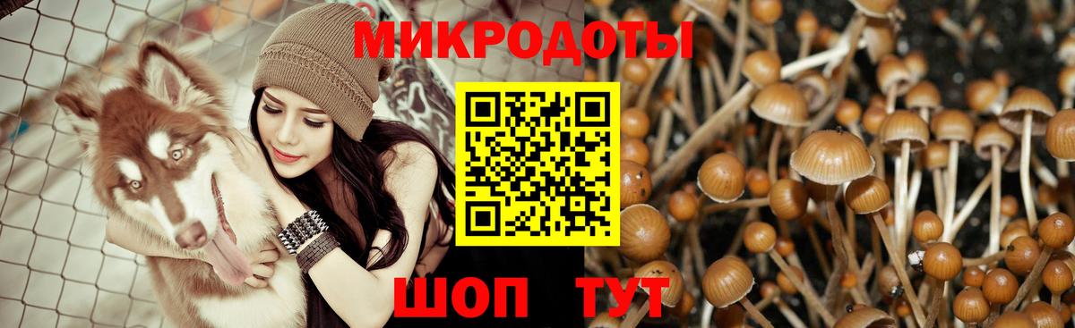 Псилоцибиновые грибы мухоморы  Псилоцибиновые грибы мицелий  Карачаевск  Вход с VPN 
